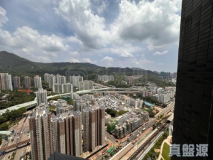 柏傲莊 2期 7座 (7B) - 28NTS – 香港北部都會區
