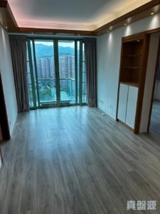 菁泉雅居 B座 - 28NTS – 香港北部都會區
