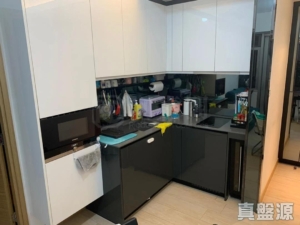 東環 1期 5B座 - 28NTS – 香港北部都會區