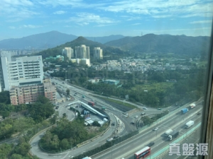 GRAND YOHO 1期 9座 - 28NTS – 香港北部都會區