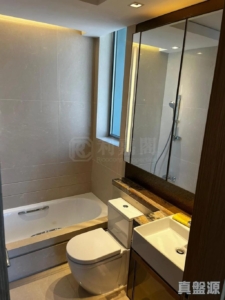 東環 1期 5B座 - 28NTS – 香港北部都會區