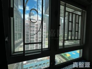 好順利大廈 2座 - 28NTS – 香港北部都會區