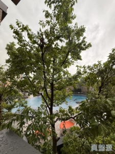 THE YOHO HUB C期 THE YOHO HUB II 6座 - 28NTS – 香港北部都會區