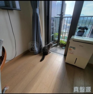 朗城滙 3座 - 28NTS – 香港北部都會區