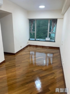翠豐臺 2座 - 28NTS – 香港北部都會區