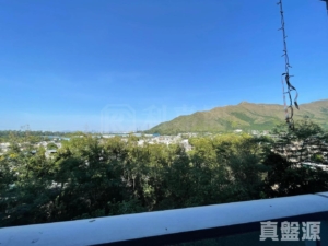 峻巒 2C期 PARK YOHO MILANO 32B座 - 28NTS – 香港北部都會區