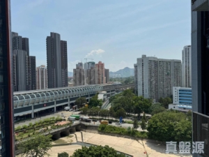 朗屏8號 5座 - 28NTS – 香港北部都會區
