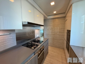 峻巒 2C期 PARK YOHO MILANO 35A座 - 28NTS – 香港北部都會區