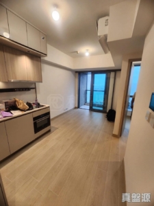 黃金海灣 2期 珀岸 1座 (1B) - 28NTS – 香港北部都會區
