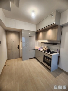 黃金海灣 2期 珀岸 1座 (1B) - 28NTS – 香港北部都會區