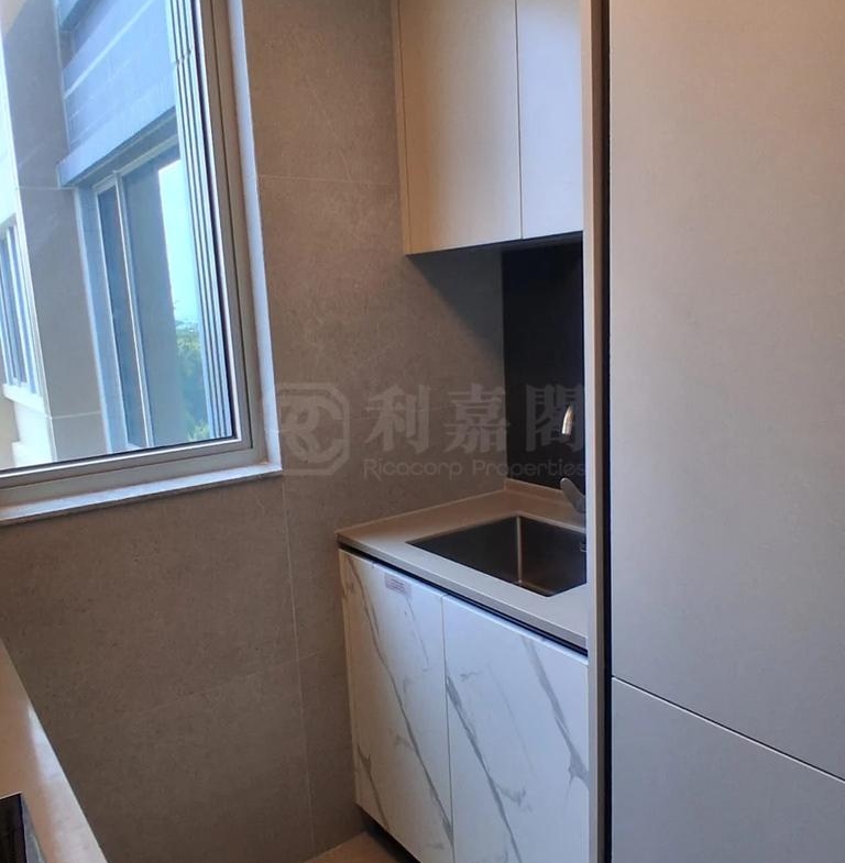 飛揚 1期 1座 - 28NTS – 香港北部都會區
