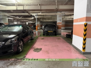 灝景灣 車位 車位 - 28NTS – 香港北部都會區