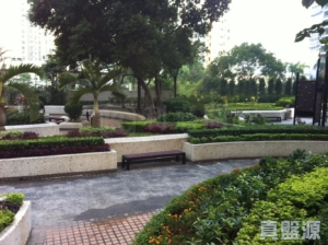 翠怡花園 1期 2座 - 28NTS – 香港北部都會區