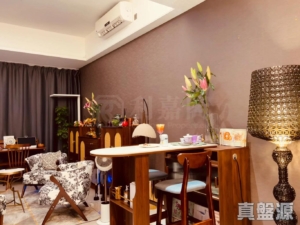 娉廷 - 28NTS – 香港北部都會區