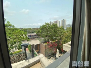 娉廷 - 28NTS – 香港北部都會區