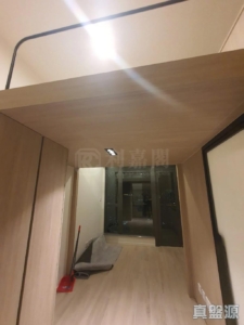 薈藍 - 28NTS – 香港北部都會區