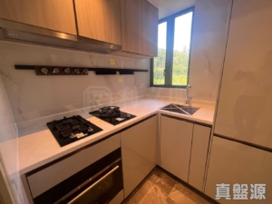 黃金海灣 2期 珀岸 1座 (1B) - 28NTS – 香港北部都會區