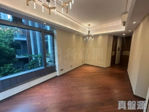 緹岸 1期 1A座 - 28NTS – 香港北部都會區