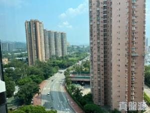 帝御 2期 帝御‧星濤 2座 - 28NTS – 香港北部都會區