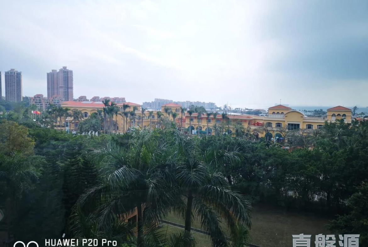 愛琴海岸 8座 - 28NTS – 香港北部都會區