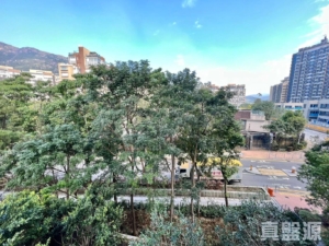 緹岸 1期 1座 - 28NTS – 香港北部都會區