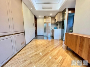 緹岸 1期 1座 - 28NTS – 香港北部都會區