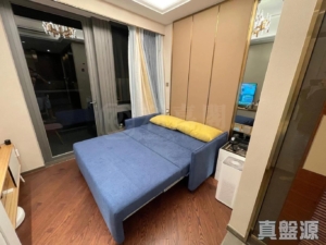 緹岸 2期 5座 - 28NTS – 香港北部都會區