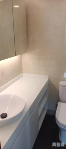 珀麗灣 3期 22座 - 28NTS – 香港北部都會區