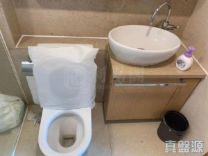 珀麗灣 5期 29座 - 28NTS – 香港北部都會區