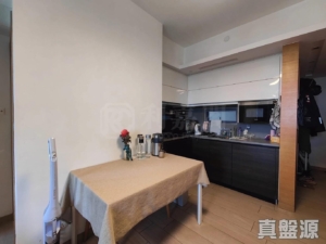 峻巒 1C期 PARK YOHO SICILIA 1B座 - 28NTS – 香港北部都會區