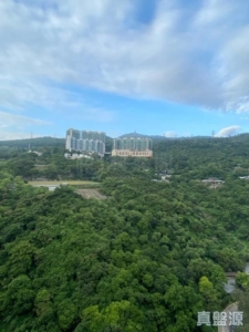 荃灣中心 貴陽樓 (13座) - 28NTS – 香港北部都會區