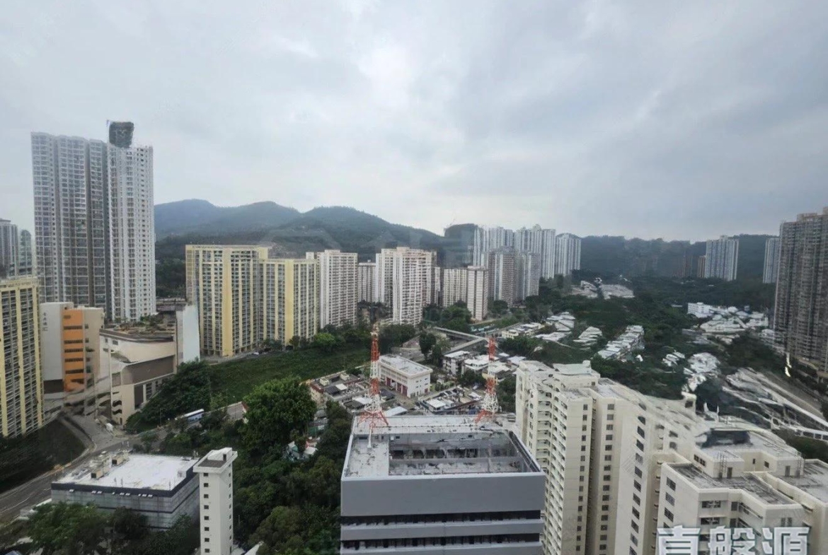 翠怡花園 1期 2座 - 28NTS – 香港北部都會區