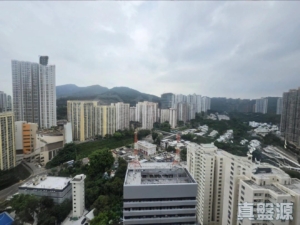 1781766995d91e27ef-ab39-4ead-b08a-e756e5093788.jpeg 翠怡花園 1期 2座 - 28NTS – 香港北部都會區