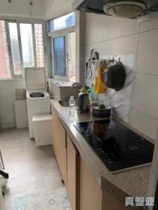 荃豐大廈 - 28NTS – 香港北部都會區