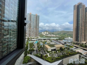 GRAND YOHO 1期 2座 - 28NTS – 香港北部都會區