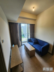 NOVO LAND 2B期 Arreso 1A座 - 28NTS – 香港北部都會區