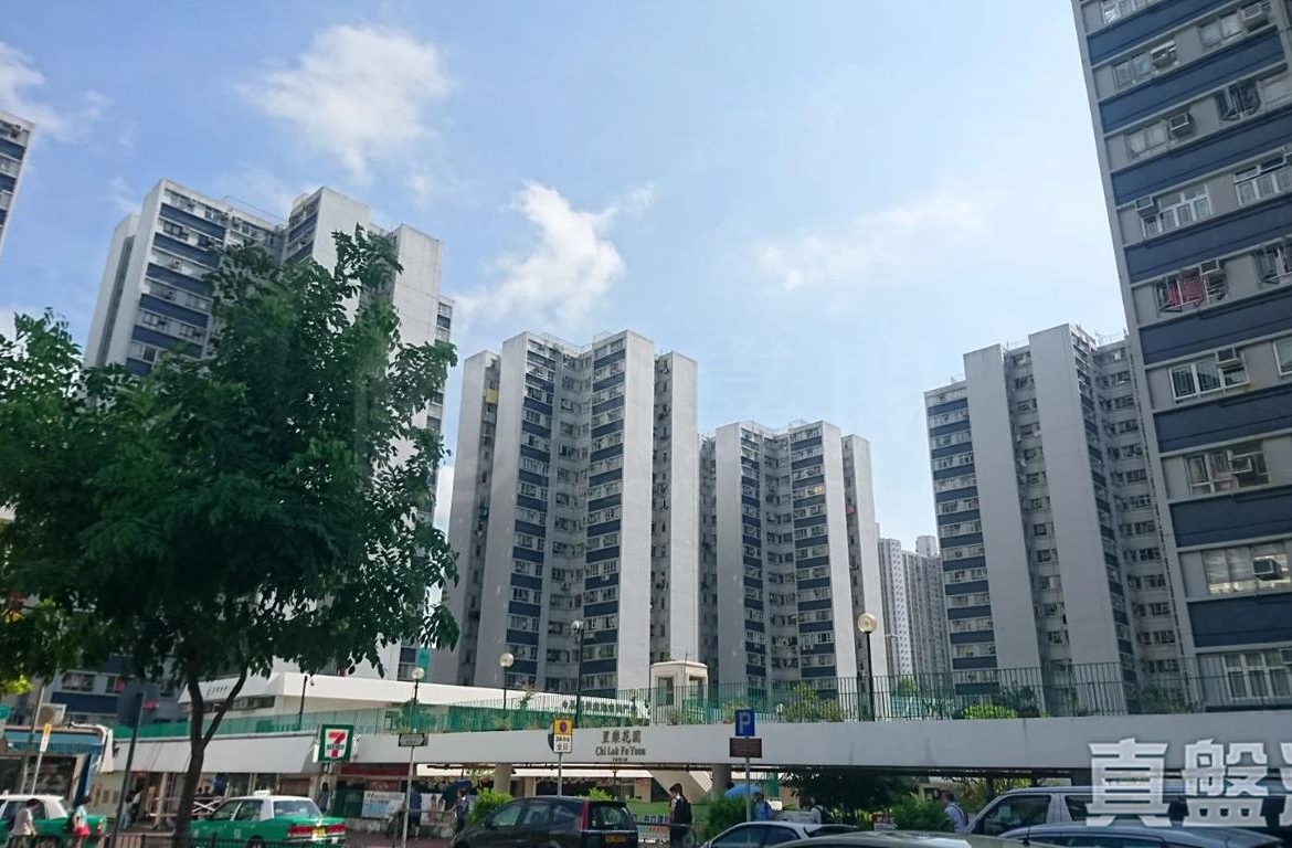 置樂花園 樂興苑 (8座) - 28NTS – 香港北部都會區