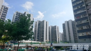 置樂花園 樂興苑 (8座) - 28NTS – 香港北部都會區