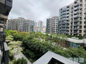 WETLAND SEASONS PARK 2期 18座 - 28NTS – 香港北部都會區