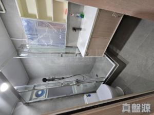 兆禧苑 雅禧閣 (D座) - 28NTS – 香港北部都會區