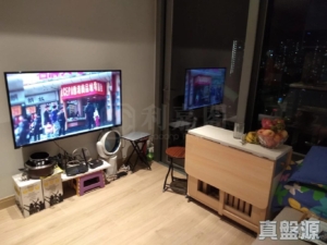 弦海 - 28NTS – 香港北部都會區