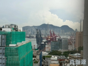 翠怡花園 2期 8座 - 28NTS – 香港北部都會區