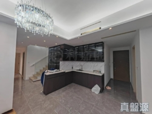 NAPA 5A座 - 28NTS – 香港北部都會區