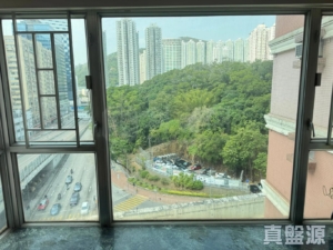 愉景新城 1期 1座 - 28NTS – 香港北部都會區