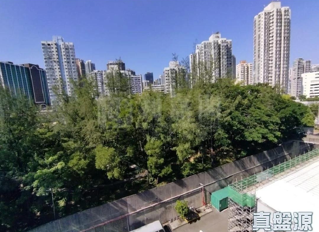 綠楊新邨 S座 - 28NTS – 香港北部都會區