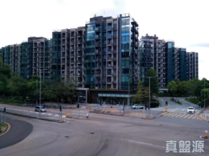 WETLAND SEASONS PARK 3期 8座 - 28NTS – 香港北部都會區