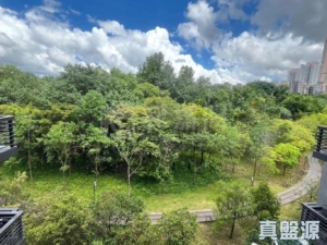 WETLAND SEASONS BAY 1期 別墅WV8 - 28NTS – 香港北部都會區