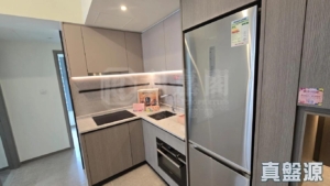 NOVO LAND 3B期 Fiskars 2A座 - 28NTS – 香港北部都會區