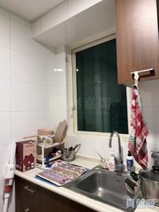 倚嶺南庭 - 28NTS – 香港北部都會區