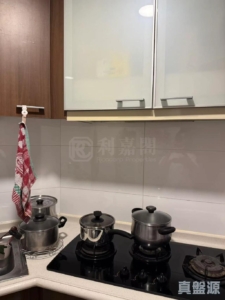 倚嶺南庭 - 28NTS – 香港北部都會區